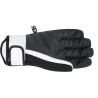 Picture Kakisa ski gloves