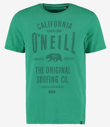 O'Neill Muir T-Shirt green blue slate
