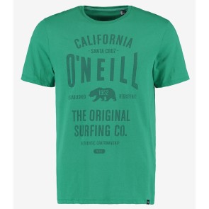 O'Neill Muir T-Shirt green blue slate